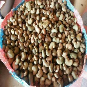  Noix De Cajou Brésilienne - autres je dispose en gros et en d&eacute;taille des noix de cajou en gros et en d&eacute;taille de bonne qualit&eacute; d'origine br&eacute;silienne.