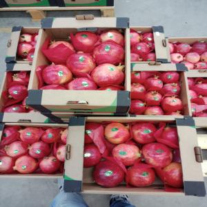  Grenades Saison 2018 Wonderful - fruits et légumes variétés de grenades wonderful---nombre estimé de mesures fruits de grenade par cartons)--compts- 8/9/10 fruits par boîte--taille- 350- 600 grammes--indices de qualité---sans les fissures,  les plaies,  les ecchymoses et la pourriture la couleur de la peau du fruit es