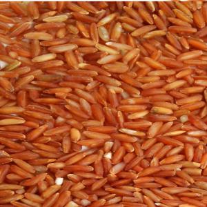  Riz Rose Dista - céréales riz rose dista de madagascar--bonjour, ----nous cherchons des clients potentiels pour riz rose biologique,  variété endémique  de madagascar appelé dista.----possibilité de livrer à partir de septembre octobre 2018.----prix fob départ port de tamatave.-