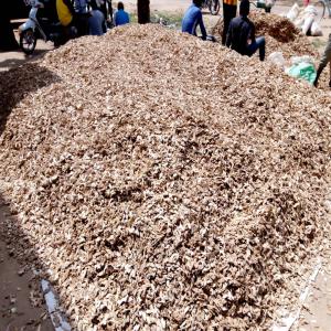  Gingembre Sec Disponible - épices aromates gingembre sec disponible --a vendre a la national ou l'international--prix de la tonne 1500€--contrat de vente et crédit documentaire exigé pour les opérations 