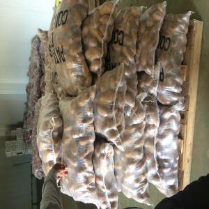  Quality Moroccan Red White Potatoes For Export - fruits and vegetables high quality white potatoes ready for export. packed in 25kg high quality bags (see picture). great size potatoes. first class not second class. european standard potatoes and packaging.