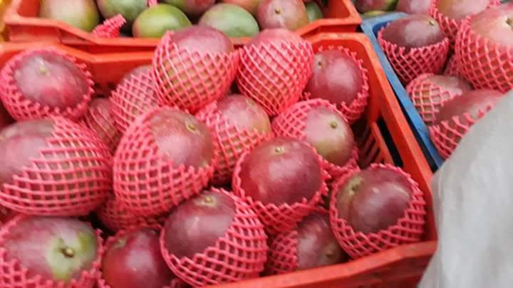  Mangues Fraîches De Côte D'ivoire - fruits et légumes notre entreprise sp&eacute;cialis&eacute;e dans l'exploitation et le conditionnement de la mangue fra&icirc;che en c&ocirc;te d'ivoire pour l'exportation. --en effet nous faisons des produits conformes aux crit&egrave;res de norme  --d'exportation. alors nous sommes &agrave; la recherche de clients 