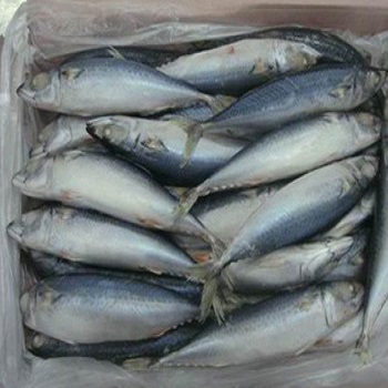  Poisson Et Attiéké - poissons je voudrais me lancer dans le commerce du poisson et aussi de l'attiéké de cote d'ivoire.--je suis a  la recherche d'un fournisseur de gros qui pourrait me livrer à ouagadougou.--