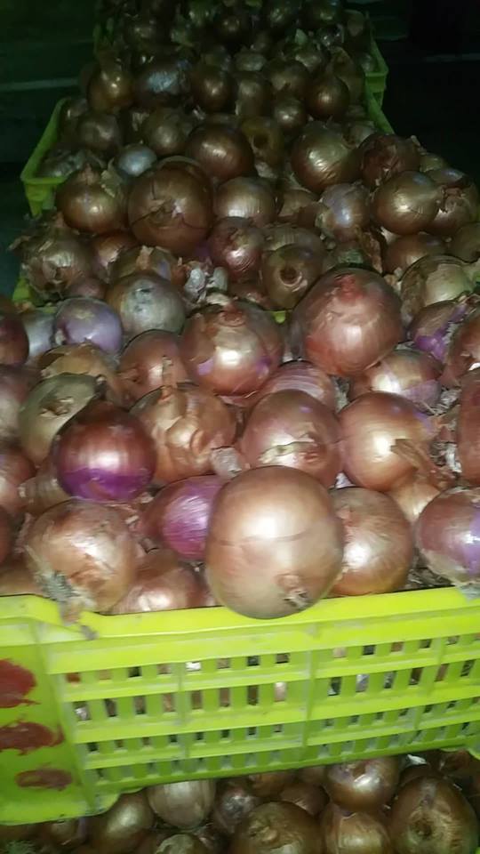  Je Suis La Recherche Des Clients - fruits et légumes notre société  du commerce international,  présente à menzel jemil-bizerte, spécialisé dans la vente de tous les types des légumes et fruits ,  nous avons identifié plusieurs domaines dans lesquels une collaboration de nos sociétés p