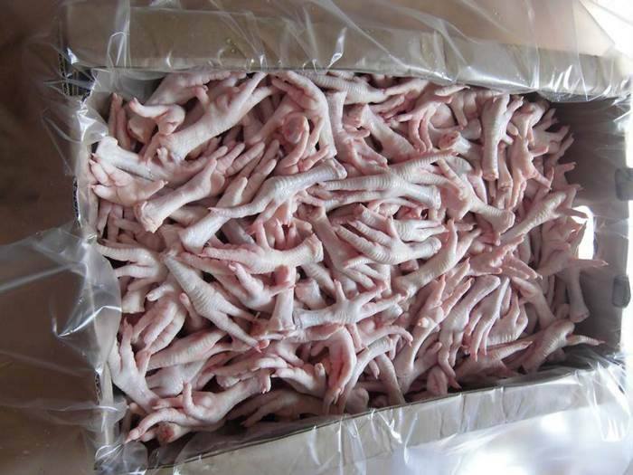 FROZEN CHICKEN FEET , CHICKEN PAWS , CHICKEN - transport - 2000 MT - Chile Manufacturer Customer search