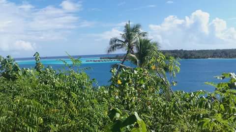  Recherche Artisans - autres nous recherchons des produits artisanaux &agrave; exporter en france et a vendre par le billet de notre association polyn&eacute;sienne  partout en france si cela vous int&eacute;resse n h&eacute;siter pas a nous contacter.