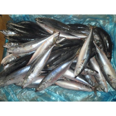  Recherche De Fournisseur - poissons bonjour! nous somme une nouvelle pme dans la place et nous avons d un fournisseur grossiste de poissons,  toute catégorie .