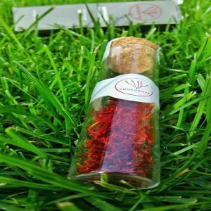  High Quality Saffron Selling - aromatic spices we have started cultivating saffron plants (crocus sativus) in 2015 on our family farmland in zhitom   berat,  albania. later the same year we have sent samples to a company in italy,  valoritalia,  for chemical quality analysis. the results showed that the quality is on par with the best saffron in ci