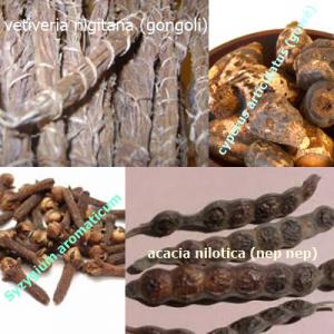  Ventes Des Plantes Médicinales - autres nous vendons des plantes médicinales comme l'acacia nilotica (nep nep); cyperus articulatus (gowé); vetiveria nigitana (gongoli).le délai de livraison dépend de la quantité et du lieu. nous vendons des produits de bonnes qualité--votre satisfaction est notre