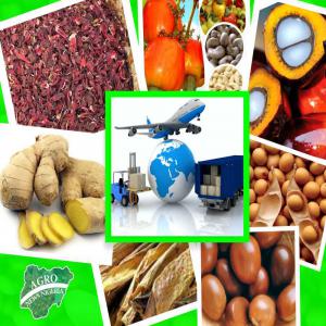  Selling Sesame, Cashew, Hard Woods And Cotton Raw - Industrie exploitation from west africa are seeking to represente manufacturers,  factories,  traders and companies worldwide for trade development.--so we are able also to help buyers to get fair deals from africa on---- cotton raw,  cotton seeds,  cocoa,  cashew nut,  woods (tali , kosso and rose etc....)--- phosphate rock,  go