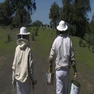  Producteurs De Miel D'espagne - produits sucrés miel d'espagne. miel bio.--nous sommes producteurs et emballeurs de miel naturel à córdoba (andalousie,  espagne). nous voulons contacter les distributeurs et les vendeurs de miel pour pouvoir vendre nos produits. miel naturel de thym,  de romarin,  de lavande,  de fleur d'oranger,  et de fleurs. 
