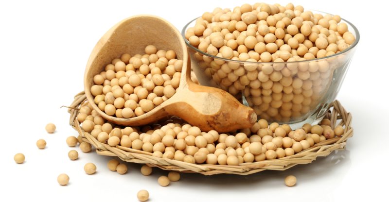  Exportations D'argentine Et Du Brésil - aliments pour animaux nous sommes une entreprise d'exportation de l'argentine et du brésil,  nous servons la demande de grains,  farines,  huiles,  sucre et viande.