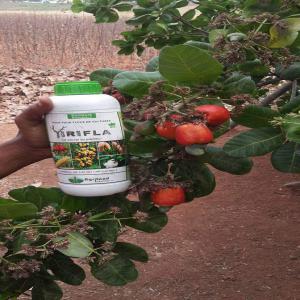  Engrais Bio Liquide Révolutionnaire - chimie additif engrais engrais bio liquide dans une bouteille de 1 litre &agrave; diluer dans 60 litres d'eau et &agrave; appliquer sur 1 hectare de tout type de culture. --* favorise,  acc&eacute;l&egrave;re la croissance,  d&eacute;veloppe et accro&icirc;t la production de la plante.--* prot&egrave;ge,  soigne,  gu&eacute;r