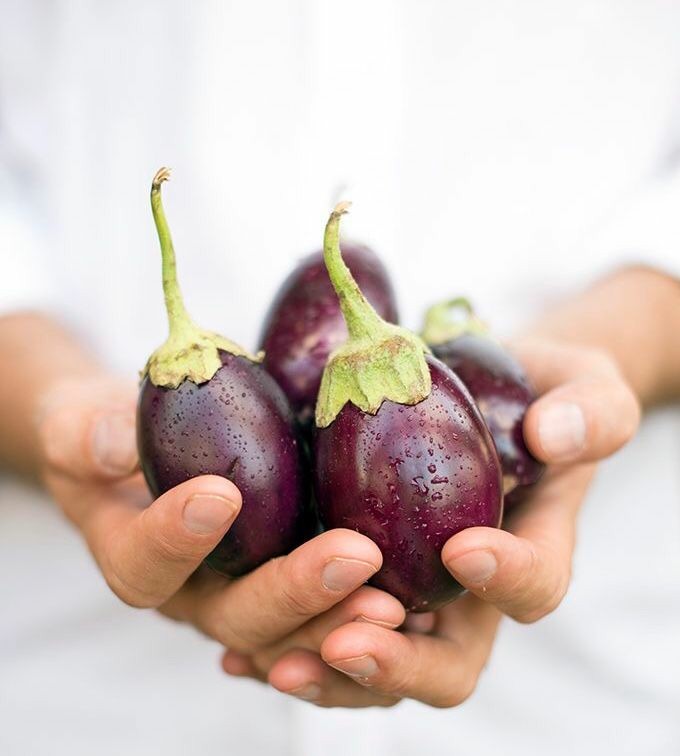  Légumes Et Fruits Frêche Égyptiens - fruits et légumes bonjour--nous avons la capacité  l'expérience nécessaires pour exporter nos produit agricole fruit et légumes freches egyptien nos produit sans de nos fermes au caire egypte en est prit a exportes nos produit vers les payes arabes et europeens et gagner confiance de nos c