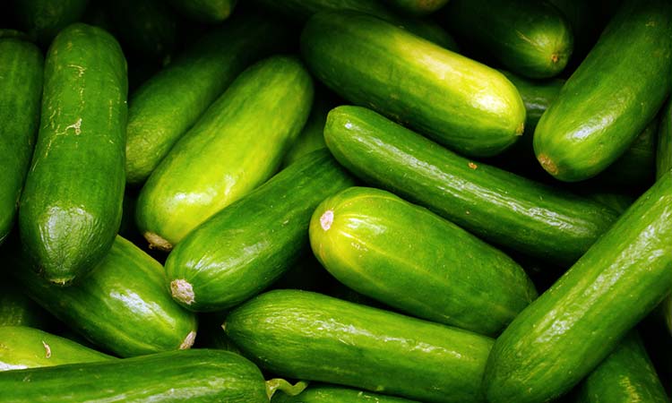  Piment Et Concombre Bio - fruits et légumes bonjour chers partenaires --nous sommes le groupe shana,  nous proposons &agrave; nos potentiels clients des l&eacute;gumes de qualit&eacute; tels que le piment et le concombre bio,  nos offres sont attractives,  nos produits de qualit&eacute; et conforme &agrave; la r&eacute;glementation international