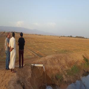  Cherche Partenaire Fruits Et Légumes - fruits et légumes je cherche un partenaire pour exploiter plusieurs parcelles de terrains &agrave; biskra 500 h&eacute;ctares au total;