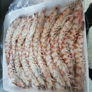  Ste Exportatrice De Tout Produit De Mer - poissons nous sommes une société tunisienne exportatrice de tout produit de mer frais et congelé pagre denté saint pierre rascasse rouget anchois  sardine maquereau poulpe seiche calamar et crevette  nous vous assurons une très bonne qualité avec des prix raisonnable