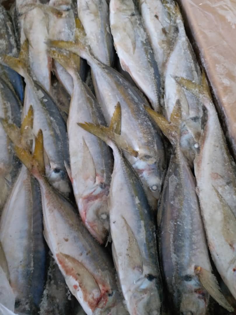  Recherche Fournisseur Viande Et Poisson - viandes et oeufs soci&eacute;t&eacute; exer&ccedil;ant dans l'importation et vente de viande congel&eacute; et de poissons congel&eacute; en c&ocirc;te d'ivoire ,  disposant  d'une lettre de cr&eacute;dit souhaite entr&eacute; en contact avec des abattoirs  dans le domaine de la viande congel&eacute; et toutes  soci&