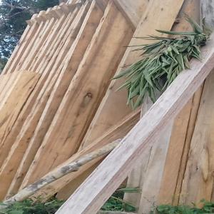  Fournisseur Bois - bois charbon fibre nous fournissons des bois durs,  des bois de pin,  de vari&eacute;t&eacute;s d'essence de bois--nous sommes de madagascar--nous pouvons fournir des containers par mois--merci de nous contacter