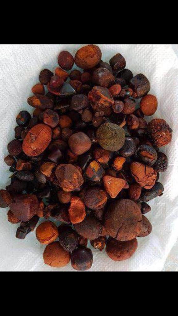  Calculs Biliaires - autres je suis à la recherche de calculs biliaires de bovins pour achat dans n'importe quelle ville du cameroun. je veux pour un début 1kg à 7€/g