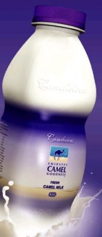  Lait Chamelle Bio - lait et produits laitiers nous somme deux  entrepreneuses en gros quantité de lait chamelle bio nous recherchons des clients pour bien développer notre entreprise 