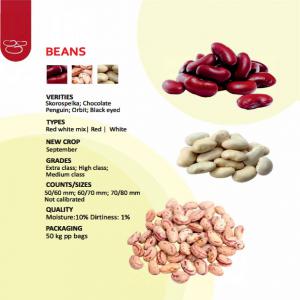  Haricots Beans - fruits et légumes nous vous proposons des haricots blancs,  rouges et roses &agrave; des prix tr&egrave;s comp&eacute;titifs.--notre soci&eacute;t&eacute; est sp&eacute;cialis&eacute;e dans la promotion et la commercialisation de produits agroalimentaires ouzbeks (ouzb&eacute;kistan). --nous garantissons des produits 