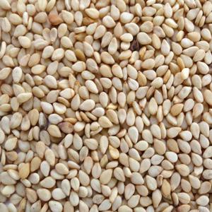  Une Quantité Importante De Sésame. - céréales la socopa est une entreprise agrobussness,  il est un regroupement de plusieurs petites entreprises et des particuliers. installée au burkina faso , la socopa œuvrée jours et nuits pour satisfaire à ses partenaires,  un partenaire satisfait vous procure l'avenir. merci.--