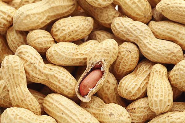  Vente D'arachide Et Du Maïs Jaune - céréales bonjour. je viens de vous informer que nous avons des centaines de tonnes d'arachides non decortiquee à vendre à 210 francs cfa le kilogramme net et qui est le prix normal fixé par kilogramme d'arachide non decortiquee et est de très bonne qualité. j'ai aussi du ma