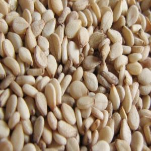  Sésame En Déstockage - fruits secs et graines grillées nous avons des dizaines de tonnes de sésame cultivé dans de bonnes conditions par nos agriculteurs dans nos campagnes et qui sont bien stockés! vous ne regretterez pas après avoir acheté et utilisé car c'est de la bonne qualité... merci