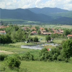  Vends Propolis, Gelee Royale, Pollen D'abeille - produits sucrés producteur de produits de la ruche d'origine bulgarie propose de la propolis,  gelee royale,  pollen d'abeille et du miel. avec 600 ruches disperses dans des regions montagneux,  je vends des matieres brutes de la ruche de haute qualite. annuellement j'arrive a recolter environ 100 kg de la gelee royal