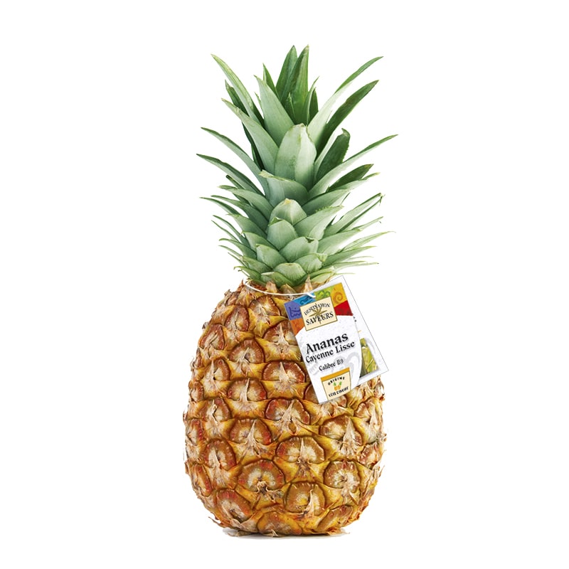  Partenaire Pour La Commercialisation Exotique - fruits et légumes nous restons fid&egrave;le &agrave; nos principes depuis notre cr&eacute;ation,  et &agrave; notre mod&egrave;le unique adapt&eacute; &agrave; la production et l'exportation des produits frais. nos clients attendent de nos produits une fra&icirc;cheur et une qualit&eacute; gustative garanties,  dans l