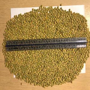  Supplier Of Green Lentils, Flax, Pea, Rapeseeds - cereals we are manufacturer of green lentils,  yellow pea,  flax,  buckwheat,  rapeseeds and other. we are looking for partners worldwide