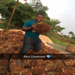  Palm Oil Direct From Producer - huiles palm oil direct from producer in nigeria - all ifferent types of packing can be considered - please contact for more details