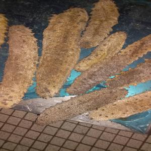  Fournisseur Concombre De Mer - coquillage crustacé veuillez me contactez par mail ou directement par téléphone pour plus de précision par rapport a la vente 