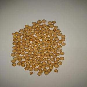  Pois Chiche De La Tunisie - céréales nous vous proposons des pois chiches (chick peas) d'origine tunisien . -- prix comp&eacute;titifs.--nous vous assurons le succ&egrave;s continu de toutes vos op&eacute;rations de commerce international depuis la tunisie.