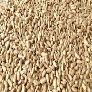 Graines de tournesol décortiqué  - fruits secs et graines grillées recherche des grossistes,  pourcentage du profit 25 % -  nouvelle récolte graines de tournesol décortiqué ,  chips de graines de tournésol décortiqué  ,  dans des sacs de 25 à 500 kg,  prix initial de notre produit est 540 euro / tonne . logistique possib