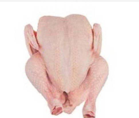  Chicken Halal, Chicken Wholesale, Frozen Chicken - meat and eggs we market frozen halal chicken wholesale all documents and halal certificate will be provided. possibility of annual contract,  price cif and fob. the offer concerns only the bridge and serious customers. loi or icpo for more information.