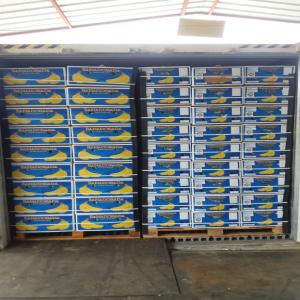  Export Banane Fraiche - fruits et légumes nous exportons des banane  fraiche de l'équateur  marque banadorada ou bien pereciosa par centenaire ou bien par bateaux commande minimum 100 tonne ,   exporter vers la  afrique ,  asie,  et l' europe,   