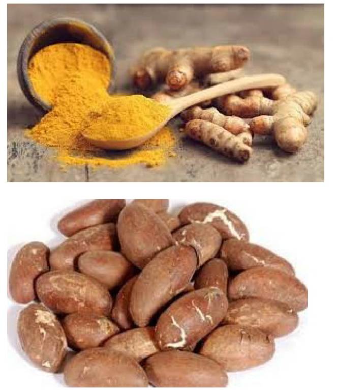 CURCUMA ET PETIT COLAS - Aucune - Benin grossiste Recherche de client -  Espaceagro