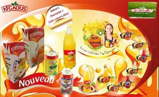 Exporter produits ngaous - boissons non alcolisée bonjour, nous sommes une entreprise spécialisée dans l'exportation de produits n'gaous conserves vers les pays africains.