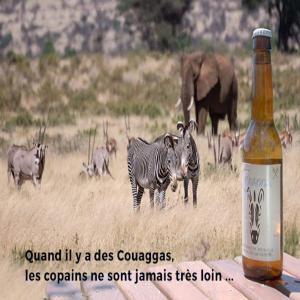  Une Nouvelle Bière Belge Artisanale - boisson alcoolisée la nyala,  bi&egrave;re ambr&eacute;e &agrave; 8, 4&deg; alcool aux saveurs caramel,  fruits rouges,  pain d'&eacute;pice et des longueurs en bouche caf&eacute; et chocolat----la blanche,  la couagga,  7, 4&deg; alcool aux saveurs rafraichissante d'agrume. l&eacute;g&egrave;re amertume