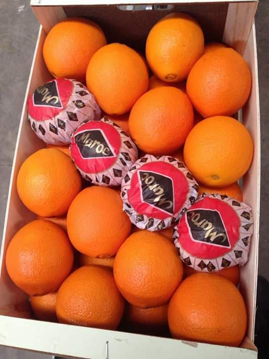  Orange Navil Cat - fruits et légumes nous sommes une soci&eacute;t&eacute; marocaine sp&eacute;cialis&eacute;e au domaine de production et exportation les fruits et l&eacute;gumes actuellement en en travaille sur l'orange navel tr&egrave;s bonne qualit&eacute;. si vous etes int&eacute;ress&eacute; de travailler avec nous en est a votre