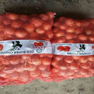  We Supply Fresh Garlic Onion And Potato - fruits and vegetables hello dear sir we are chinese company supplying to africa europe and asia different product as garlic potatoes onion grape ginger apple vegetables and others fruits we are looking serious buyers for great cooperation currently we export in mali senegal guinee conakry ma