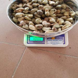  Recherche Acheteur Du Noix Cajou - fruits secs et graines grillées je suis a la recherche de toute acheteur qui peuvent venir au benin pour acheter du noix cajou en brousse je suis directement avec les producteur bord champs dans la brousse je peut vous aider acheter jusqu'a 3 mil tonne du noix cajou avec un bon kor 48+