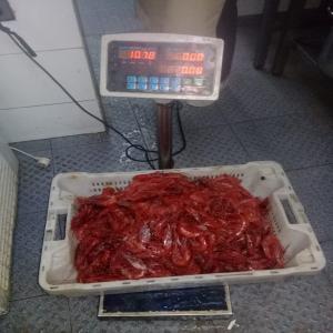 Vente poisson  - poissons je suis grossiste de poisson au sahara dakhla marocain.cherche via ce site des clients a l etranger et au maroc a prix raisonable . poisson frais et congele  .tout genre de poisson. tel que clamar.gambas.chinchard....tout.pour toute info n hesiter pas a me contacter par email ou sur mon numero watsa