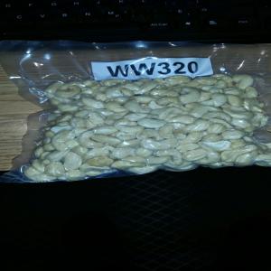  Noix Acajou W180, W240, W320 - fruits secs et graines grillées  on peut vous fournir noix  acajou w180,  w240,  w320  avec toute la certification et &agrave; des prix concurrentiels.--on s'occupe de tous jusqu'au port du client du pays destinataire.--valid time- within 30 days.--payement terms- sblc transf&eacute;rable.--refer to afi standard.-- aussi  on peut me