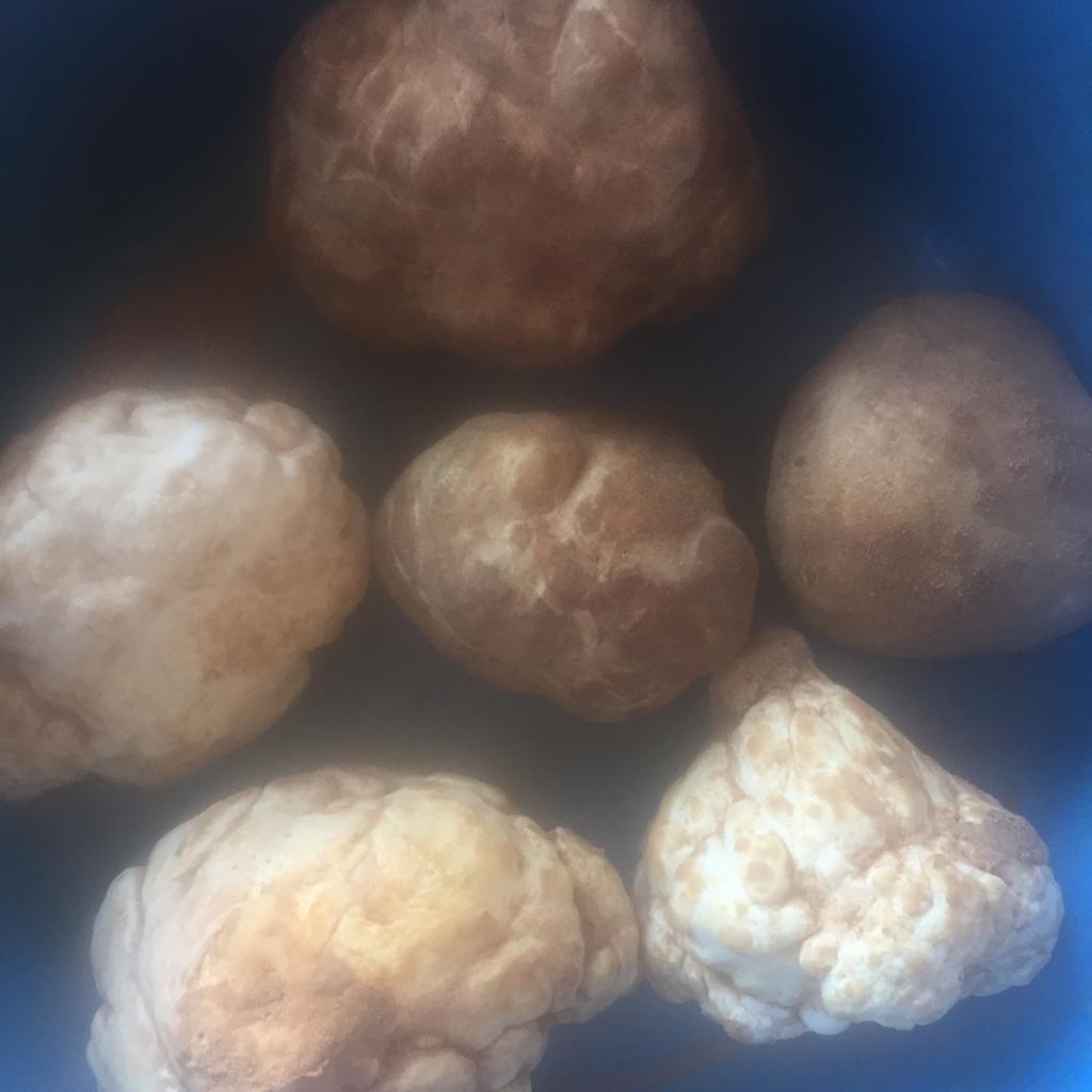  Truffe Blanche Et Rouge - fruits et légumes je vend des truffes blanches, et rouge de très bonne qualité originaire du sahara, tous calibres, avec un bon prix pour clients sérieux