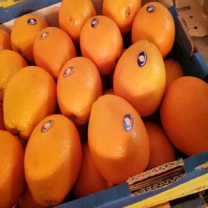  Les Agrumes Egyptiennes - fruits et légumes bonjour ou bonsoire solon le moments où vous allez lire notre annonce ----notre société spécialisé dans l'import et export de légumes et fruit freche égyptienne notre société ca plate forme et en égypte en vous présente nos agrume