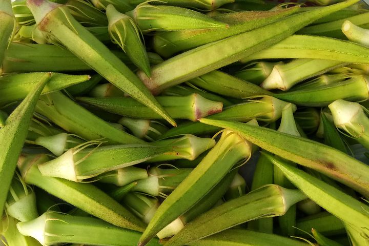  Gombo Sénégalais En Vente. - fruits et légumes bonjours,  nous sommes à la recherche de d'achéteurs de gombos. doté d'une forte expérience dans la commercialisation de fruits et légumes,  nous sommes en mesure de répondre à vos besoin. nous disposons d'une variété de gombo en trè