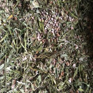  Produits Du Chanvre: Têtes, Graines, Feuilles... - huiles graines d’héritages est une association loi 1901 dont la mission est de transmettre savoirs et savoir-faire autour de notre patrimoine traditionnel de graines 100% reproductibles,  et de plantes aromatiques et médicinale (pam).--elle est domiciliée à sisteron dans les alpe